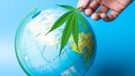 cannabis-world-2-1.jpg