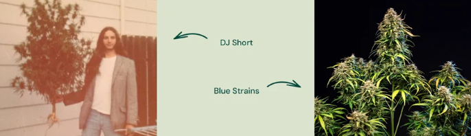 1742277547729.png
