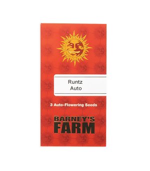 runtz-auto__OXOjM1pu8Mz93WOW(2).jpg