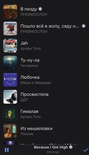 IMG_3954.jpeg