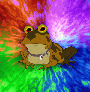 fWaiD5a.gif fWaiD5a.gif