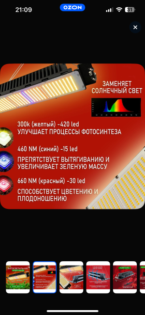 IMG_8124.png
