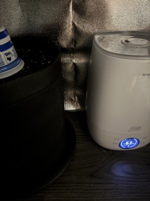 IMG_1002.jpeg