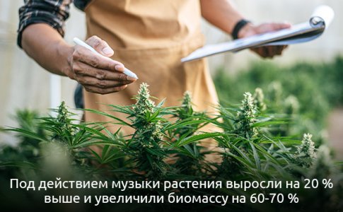Eksperimenty-i-nauchnye-issledovaniya__pW2KtIshBMgHgkNy.jpg Eksperimenty-i-nauchnye-issledovaniya__pW2KtIshBMgHgkNy.jpg