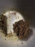 IMG_0184.jpeg