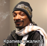 IMG_0220.png
