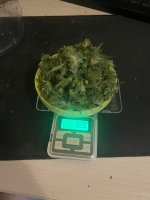 IMG_0631.jpeg