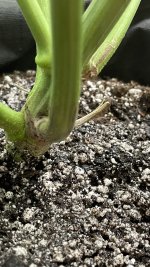 IMG_1280.jpeg
