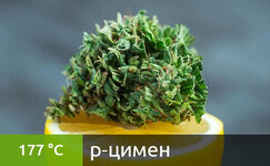 p-cimen__cJF0hNPmH01Ao4sv.jpg p-cimen__cJF0hNPmH01Ao4sv.jpg