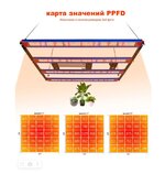 СВЕТ.JPG