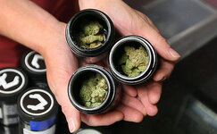 kak-pravilno-hranit-kannabis__QWil8BlLmdJfoUA3.jpg kak-pravilno-hranit-kannabis__QWil8BlLmdJfoUA3.jpg