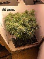 IMG_1067.jpeg