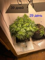 IMG_0674.jpeg