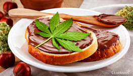 kanna-kuhnya-recept-konoplyanoy-nutelly__n0EMcPIERIt6ZENK.jpg kanna-kuhnya-recept-konoplyanoy-nutelly__n0EMcPIERIt6ZENK.jpg