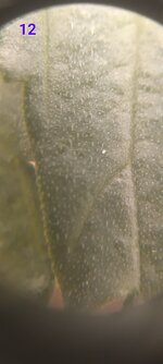 20251031_164120[1].jpg
