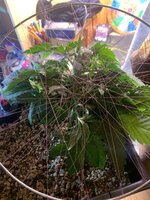 IMG_9077.jpeg