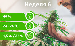 week-6__TYW5C7x1LWTDHR66.jpg