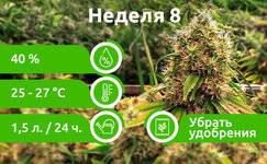 week-8__piydqkgCpTFgL046.jpg