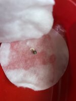 IMG_1673.jpeg
