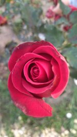IMG_20251123_160211.jpg