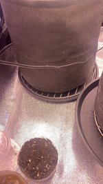 IMG_4626.jpeg
