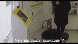 что-у-вас-тут-происходит-ахуели.gif