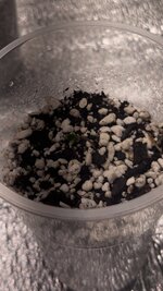 IMG_5809.jpeg