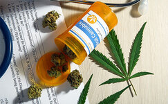 cennost-terpenov-dlya-medicinskoj-konopli__eDUliLnjbrOVYeHc.jpg
