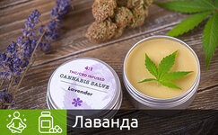lavanda__2w52EeiBIpgbzdxw.jpg lavanda__2w52EeiBIpgbzdxw.jpg