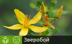 zveroboj__GNsKz7h2khZQCuyA.jpg zveroboj__GNsKz7h2khZQCuyA.jpg