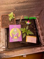 IMG_1860.jpeg
