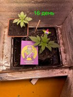 IMG_1908.jpeg