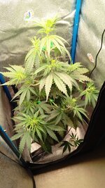 IMG_20251211_160819_598.jpg