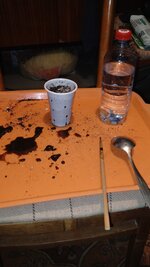 IMG_20251211_163723_084.jpg