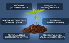 Sovety-po-obespecheniyu-bezopasnosti__B3SCM9uBVukWkNI1.jpg Sovety-po-obespecheniyu-bezopasnosti__B3SCM9uBVukWkNI1.jpg