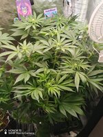 IMG_20251216_101832.jpg