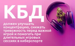 vliyanie-kannabisa-na-obshchie-uspekhi-v-kompyuternyh-igrah__xv5q8fyqxzajMnA1.jpg vliyanie-kannabisa-na-obshchie-uspekhi-v-kompyuternyh-igrah__xv5q8fyqxzajMnA1.jpg
