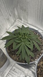 IMG_6499.jpeg