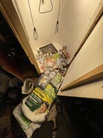 IMG_2208.jpeg