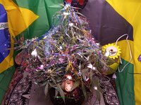 IMG_20251231_090231.jpg