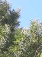 20250518_221000.jpg 20250518_221000.jpg