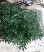 20260122_072419.jpg 20260122_072419.jpg