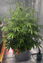IMG_20260123_200719.jpg