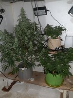 20260124_072551.jpg 20260124_072551.jpg