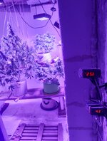 20260125_063218.jpg 20260125_063218.jpg