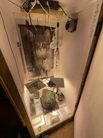 IMG_2773.jpeg