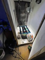 IMG_2851.jpeg