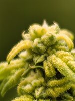 IMG_20260212_120228.jpg