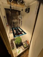 IMG_3047.jpeg