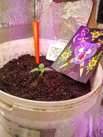 IMG_20250418_094925.jpg